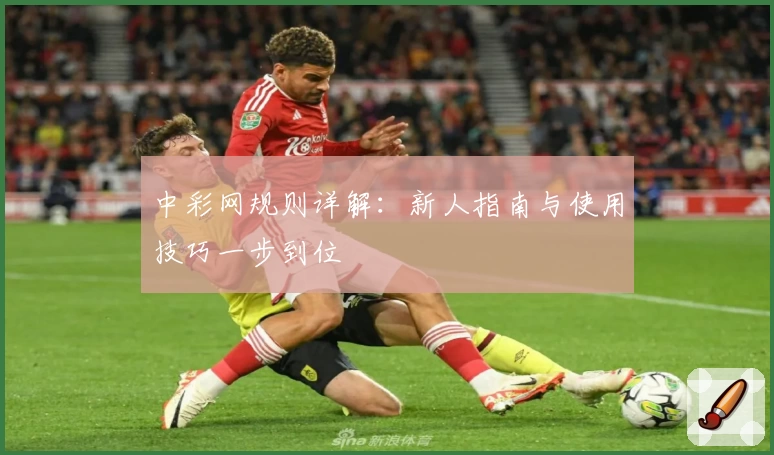 中彩网规则详解：新人指南与使用技巧一步到位
