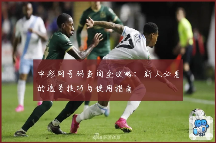 中彩网号码查询全攻略：新人必看的选号技巧与使用指南