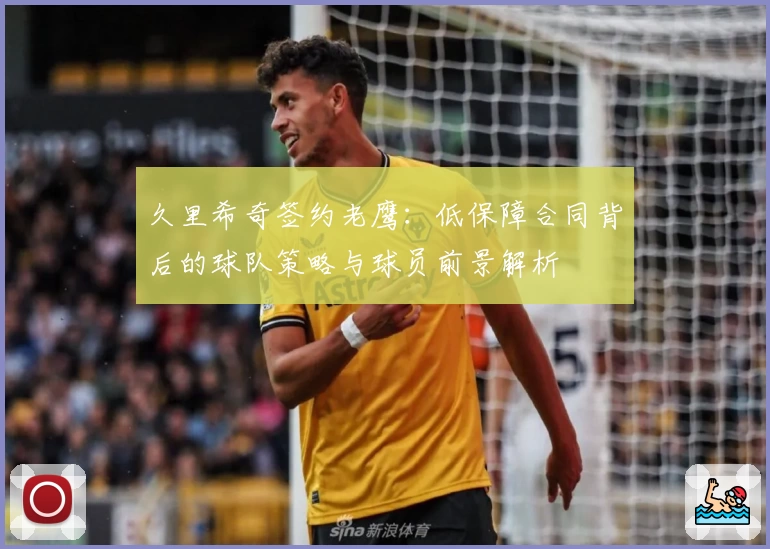 久里希奇签约老鹰：低保障合同背后的球队策略与球员前景解析