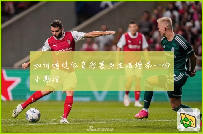 如何通过体育彩票为生活增添一份小期待