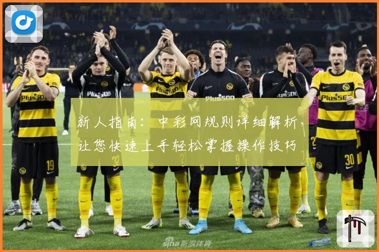 新人指南：中彩网规则详细解析，让您快速上手轻松掌握操作技巧