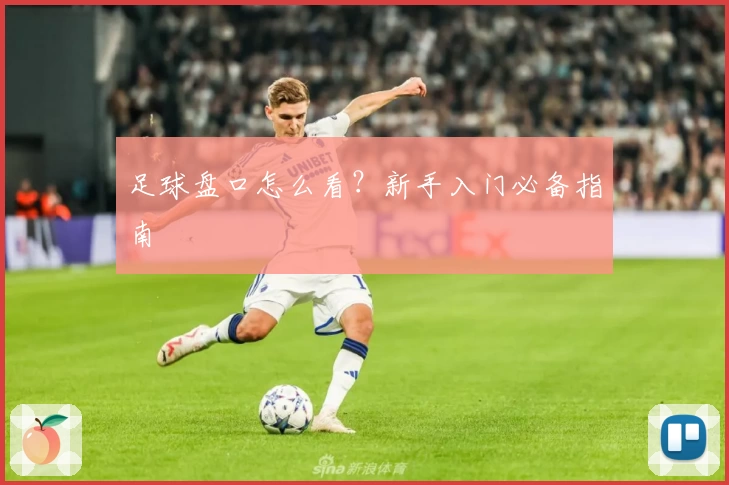 足球盘口怎么看？新手入门必备指南