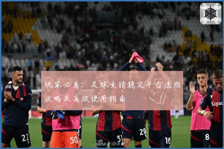 玩家必看：足球竞猜稳定平台选购攻略及高效使用指南