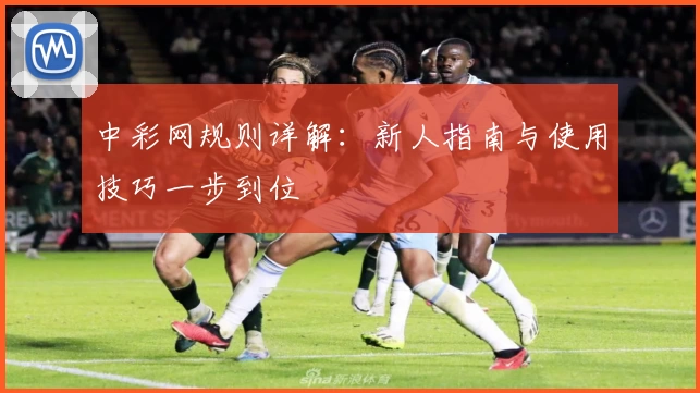中彩网规则详解：新人指南与使用技巧一步到位