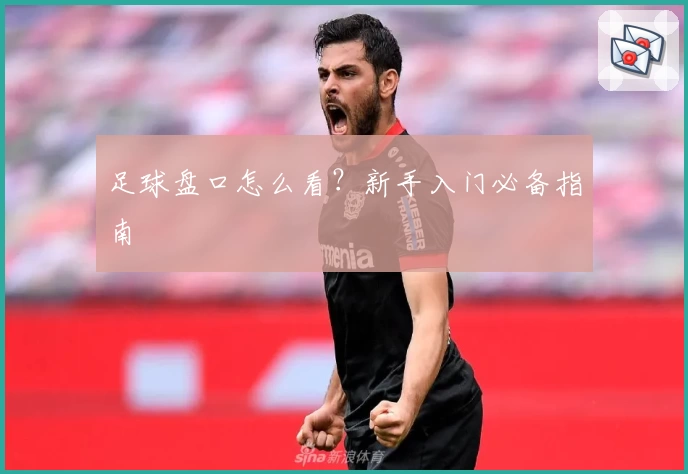 足球盘口怎么看？新手入门必备指南