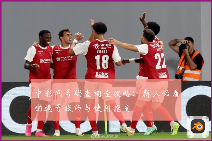 中彩网号码查询全攻略：新人必看的选号技巧与使用指南